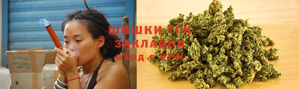 сатива Карпинск