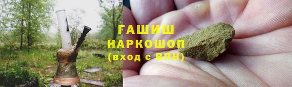 сатива Карпинск