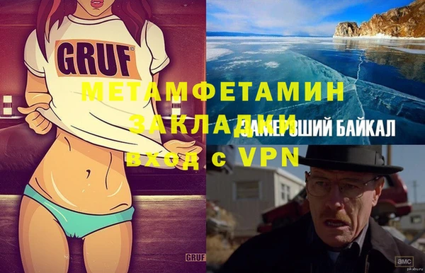 сатива Карпинск