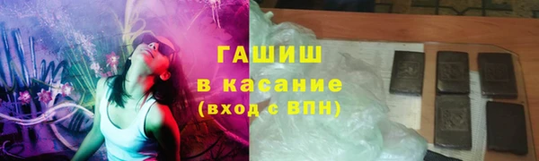 сатива Карпинск