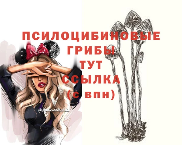 сатива Карпинск