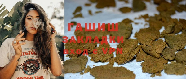 сатива Карпинск