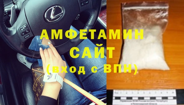 сатива Карпинск