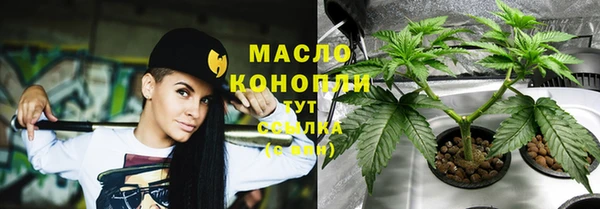 сатива Карпинск