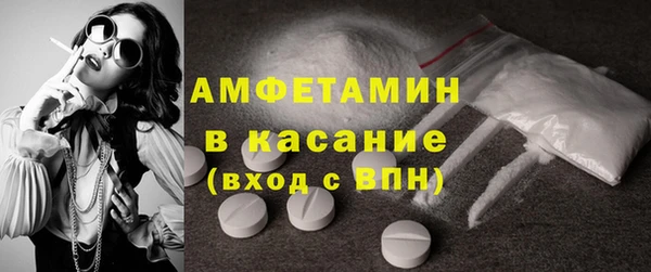 сатива Карпинск