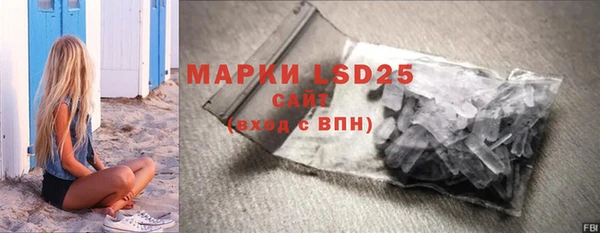 сатива Карпинск